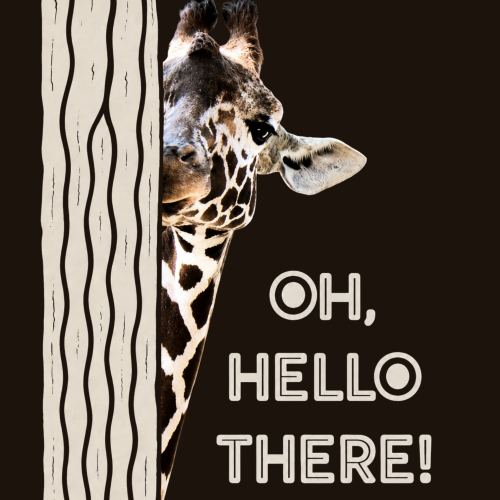 giraffe foto zeichnung (3)