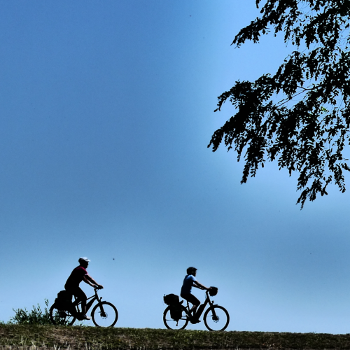 halmerdesign-cyclists-wallpaper-juli_2026